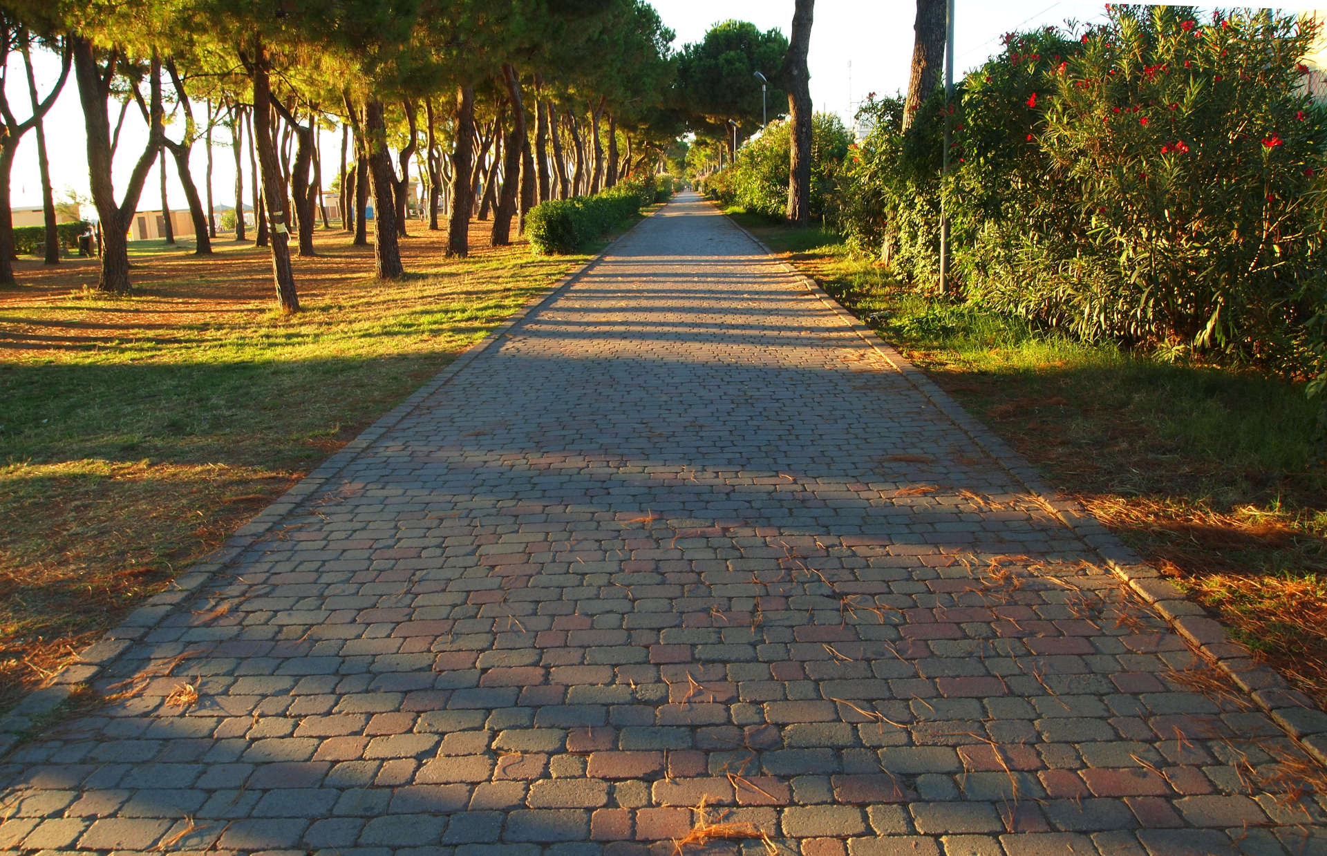 Pineto: un modello di qualità  della vita, sicurezza e sviluppo sostenibile ecco perchè gli immobili valgono molto