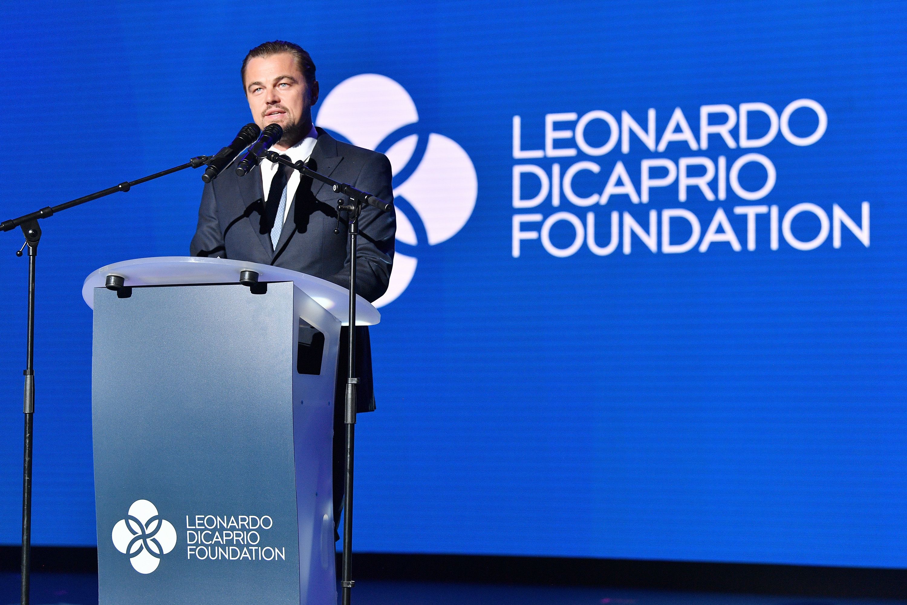 Leonardo DiCaprio: Il paladino della reputazione della Terra
