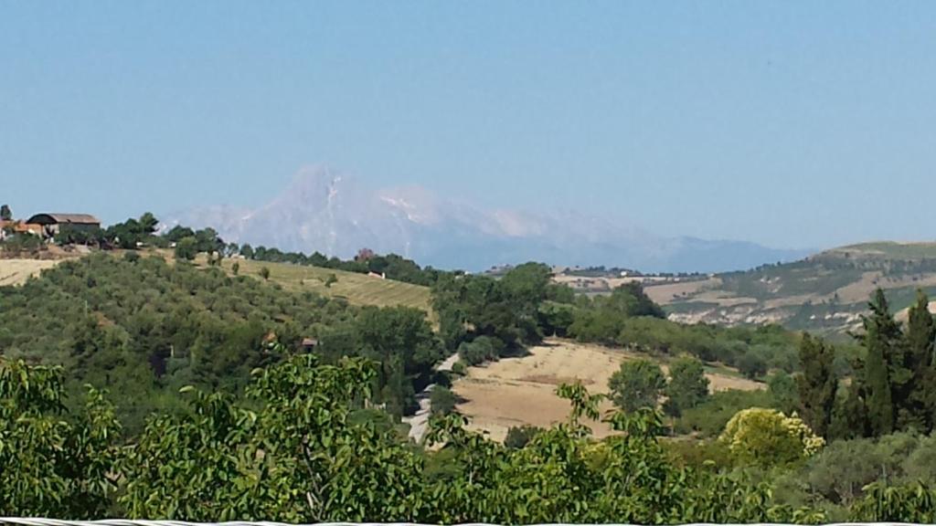 Colle Morino a Pineto  L?ultima quiete tra campagna e mare