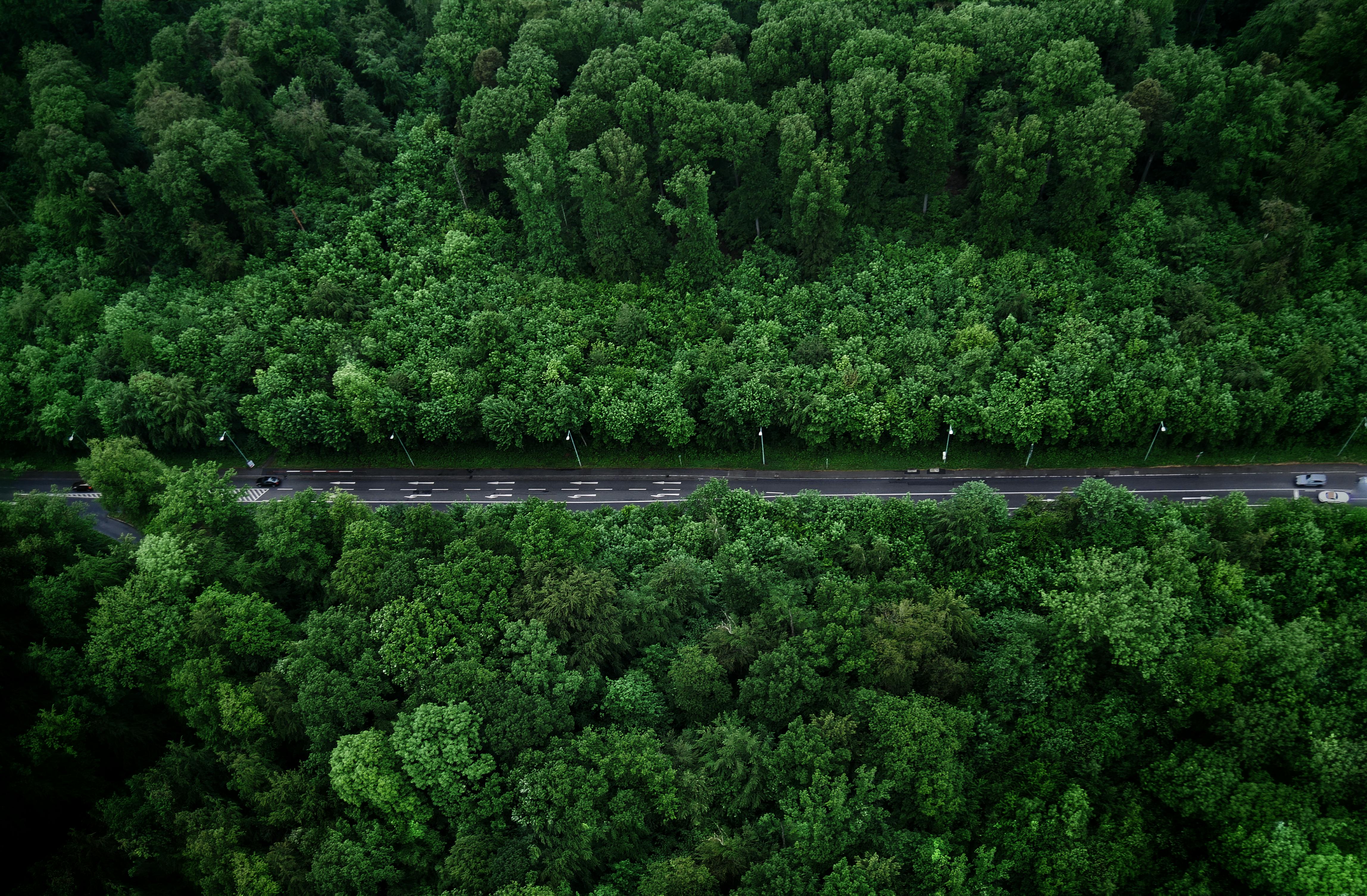 Roma Green: i quartieri con la migliore reputazione ambientale